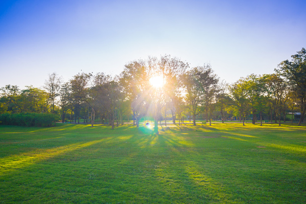 Land Clearing for Agricultural Use Around Fort Worth: Why It’s&nbsp;Important