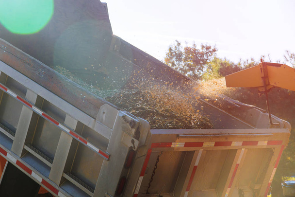 How Land Clearing Improves Property Value in Fort Worth,&nbsp;Texas